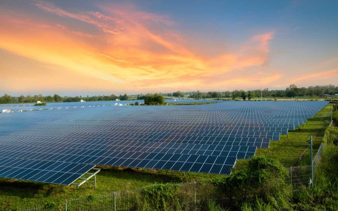 Court to determine fate of solar projects